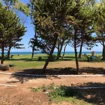 Edessa - Costa Marina Primera Linea * Oropesa del Mar