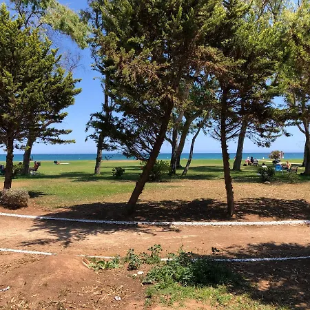 Edessa - Costa Marina Primera Linea * Oropesa del Mar